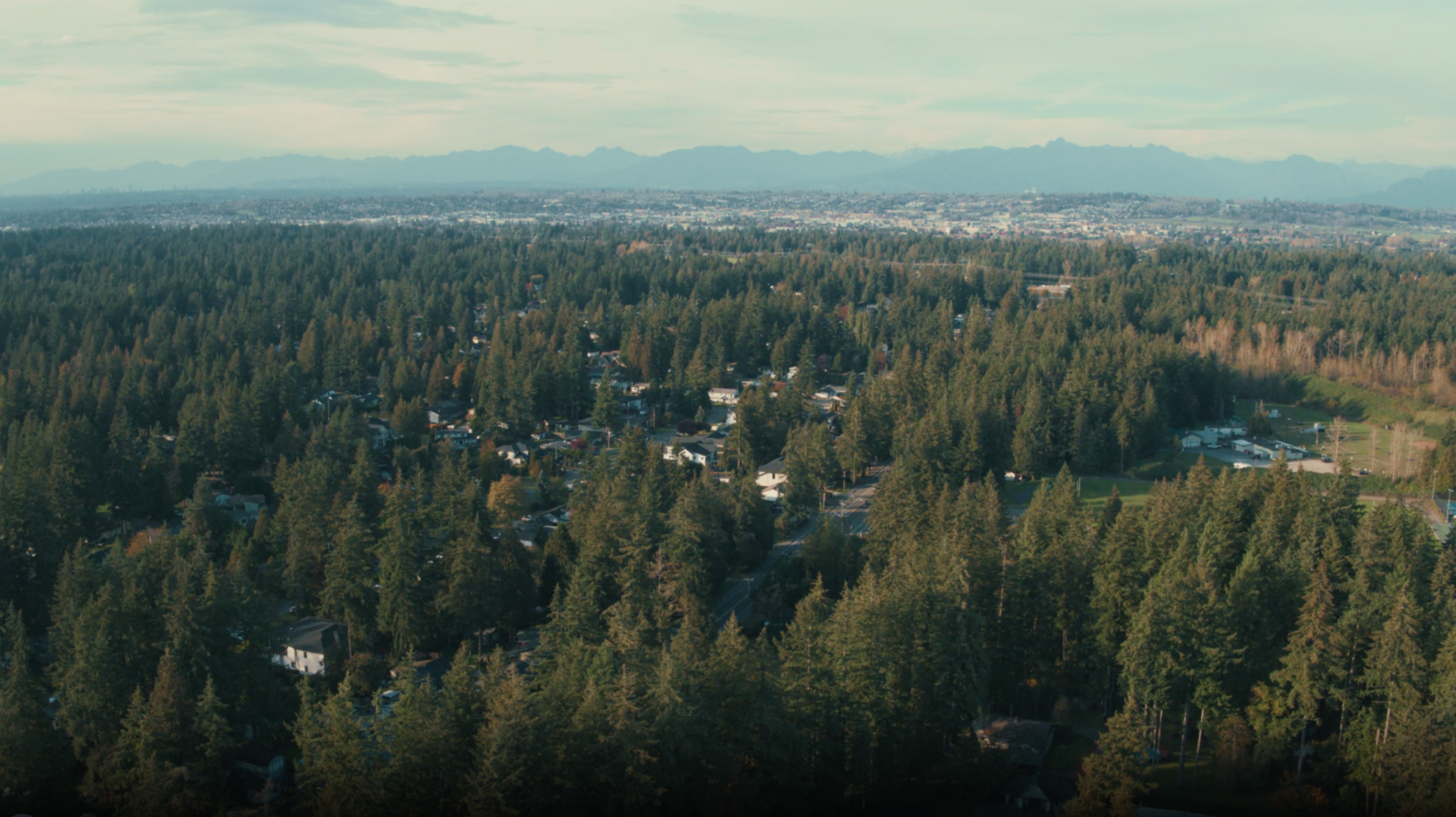 Langley Township - Overview