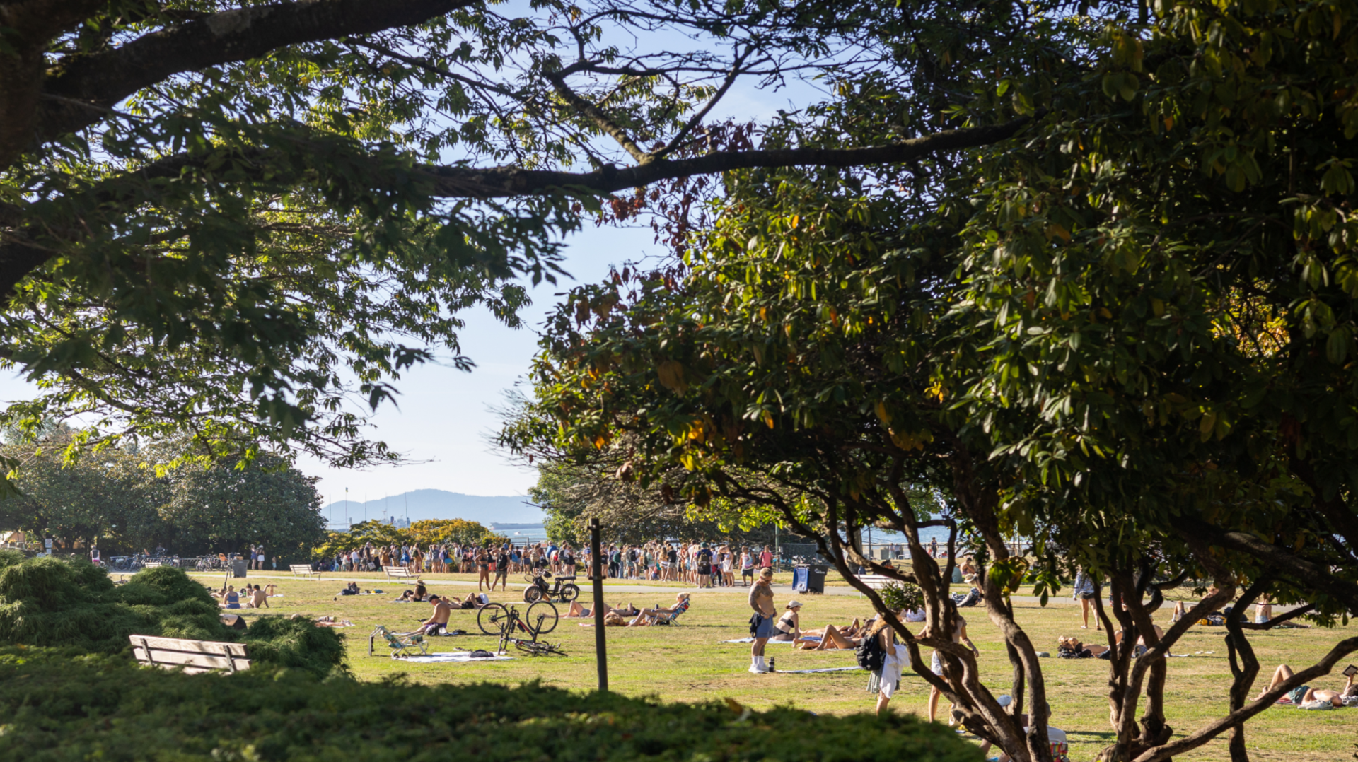Vancouver West - Community