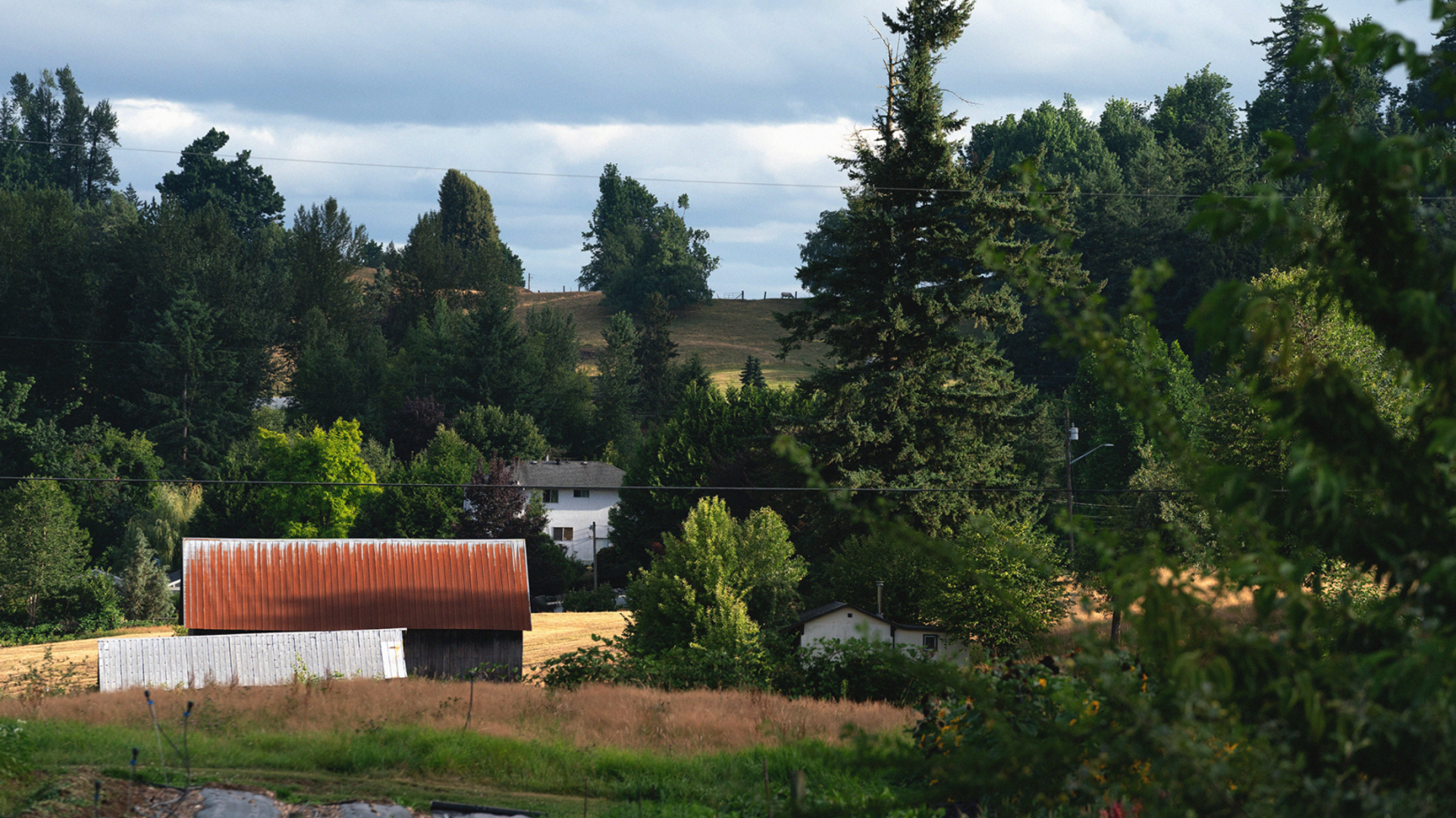 Mission, BC: A Hidden Gem in the Fraser Valley