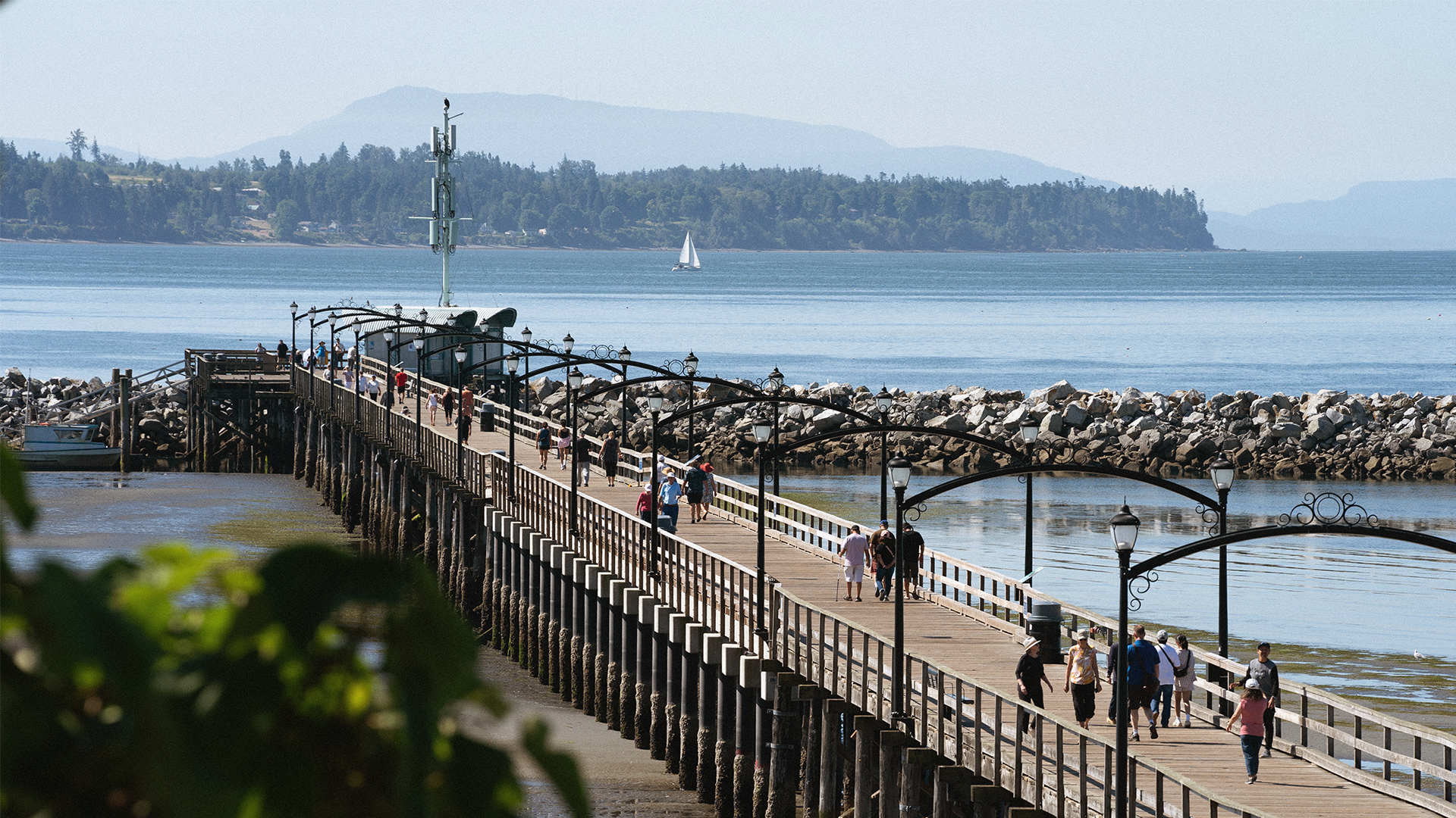 'RealTours: South Surrey' Article