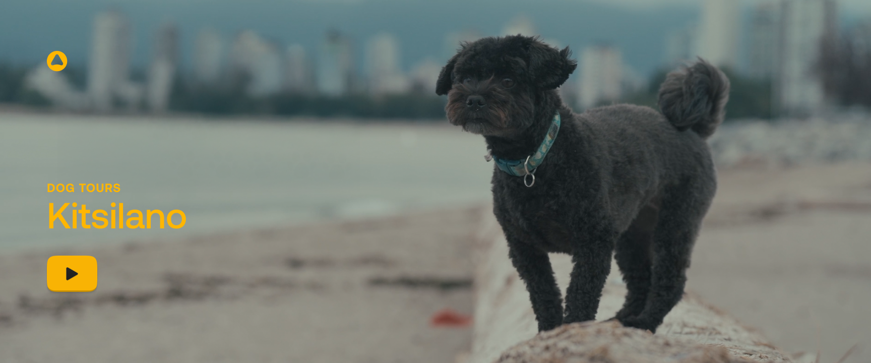 'DogTours: Kitsilano' Article