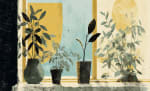 'Top five tips for taking care of your houseplants.' Article