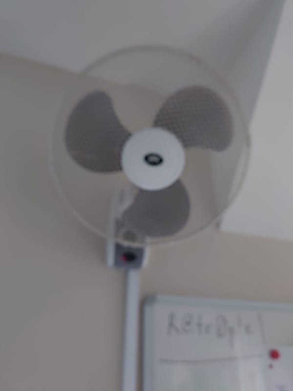 Fan