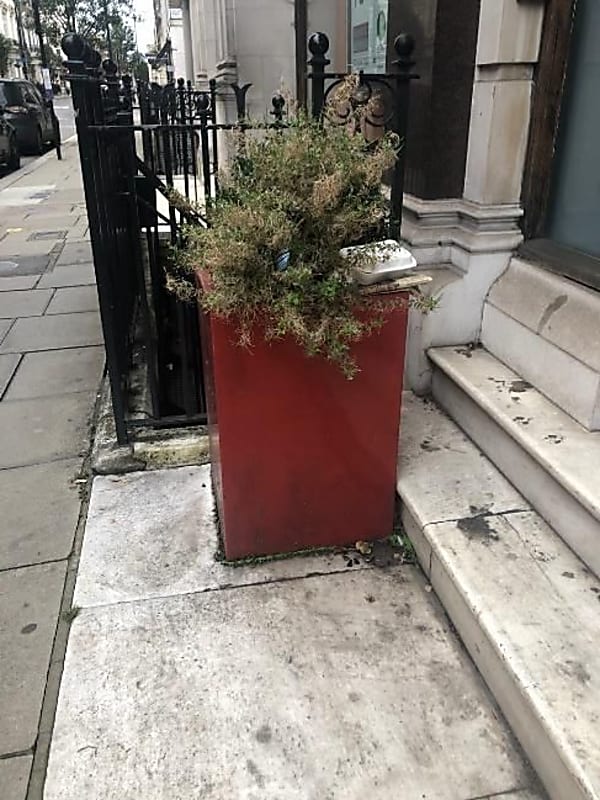 Planter