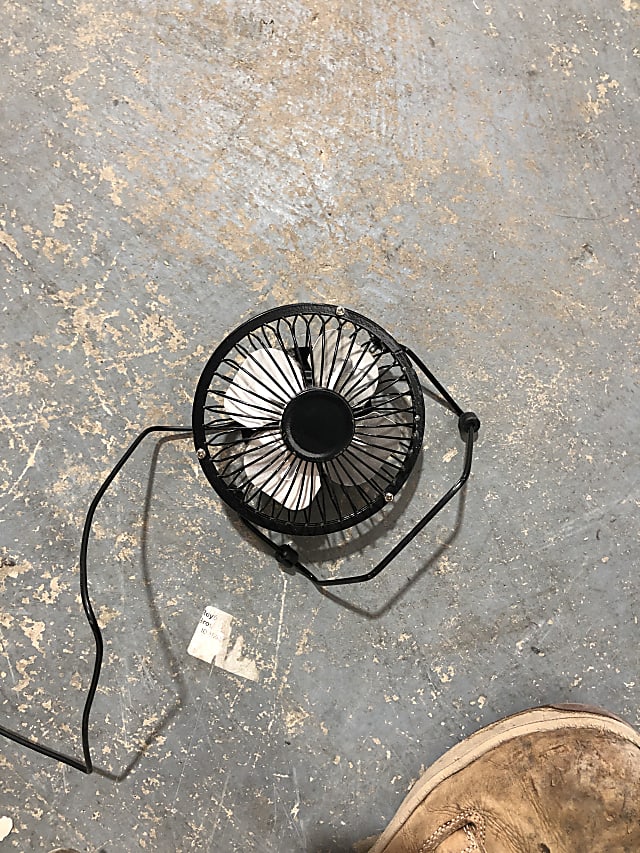 Fan