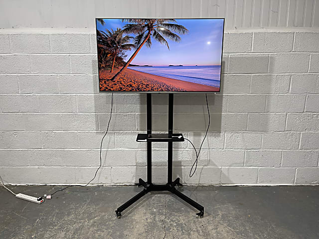 TCL 55DP648 TV on mobile stand