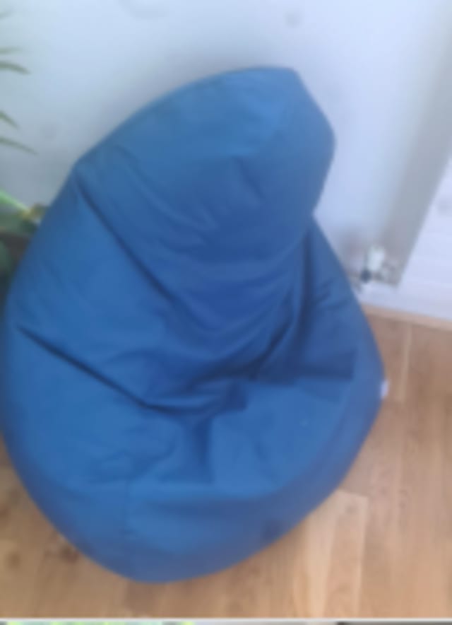 Bean bag