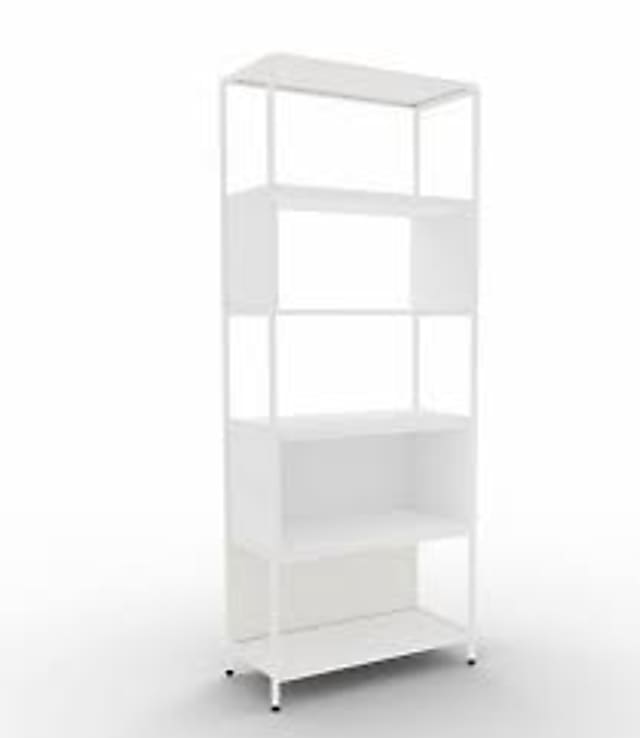 Large shelving bookcase