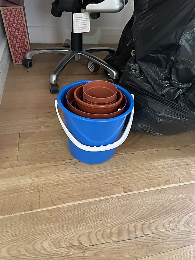 Plant pots and bucket