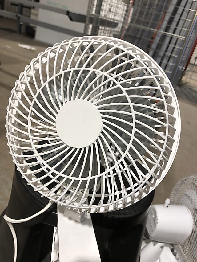 Fan