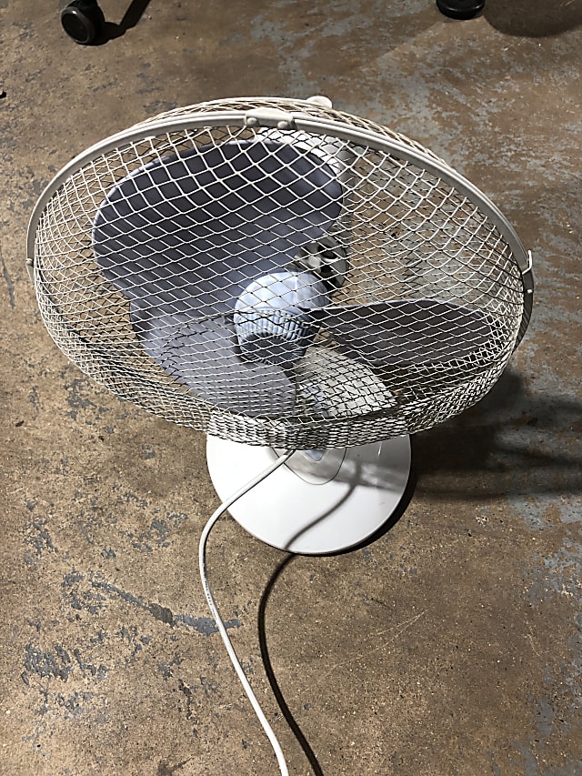Fan