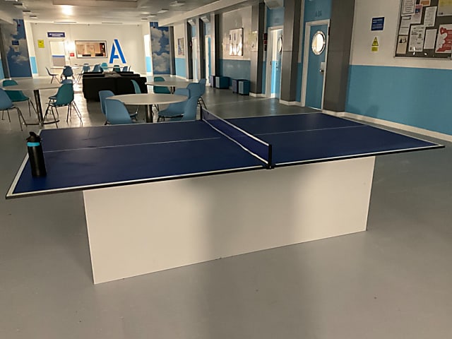 WasteCommon Area - Ping pong table TOP ONLY wasted 