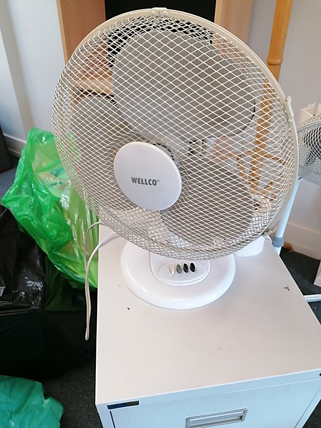 Fan