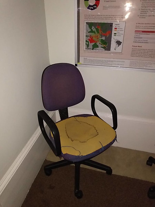 Chair (Waste)