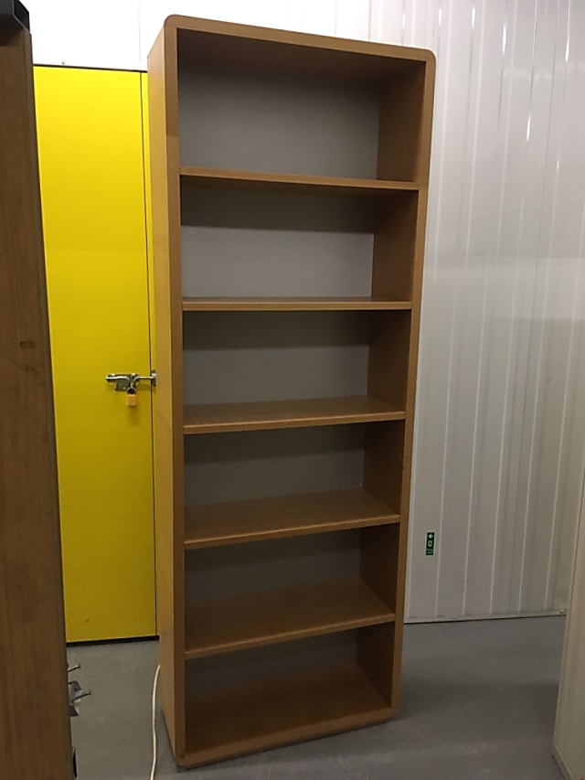 Tall bookcase with interior light