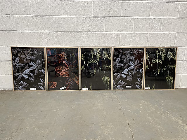 Set of 5 framed paintings of flowers