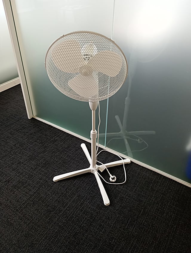 Fan