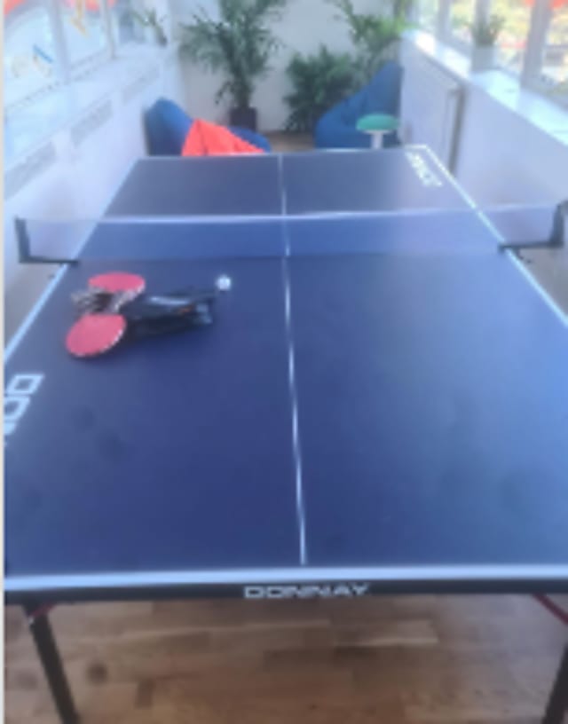 PING PONG TABLE