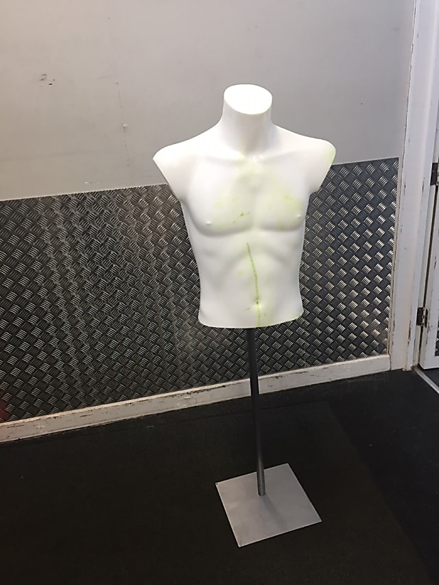 Mannequin torso