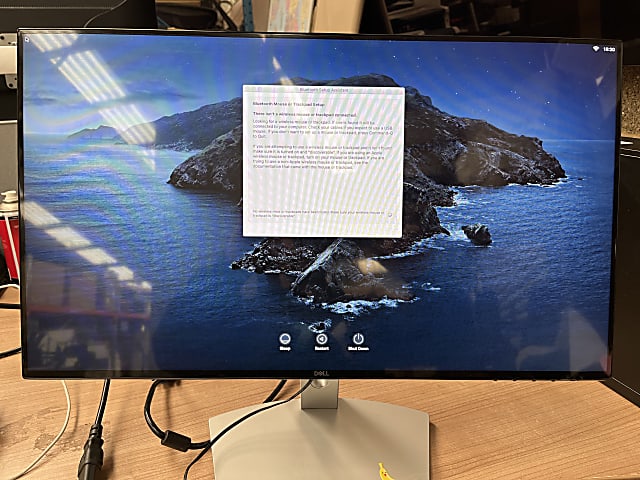 Dell monitor 