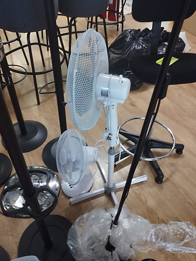 Fan