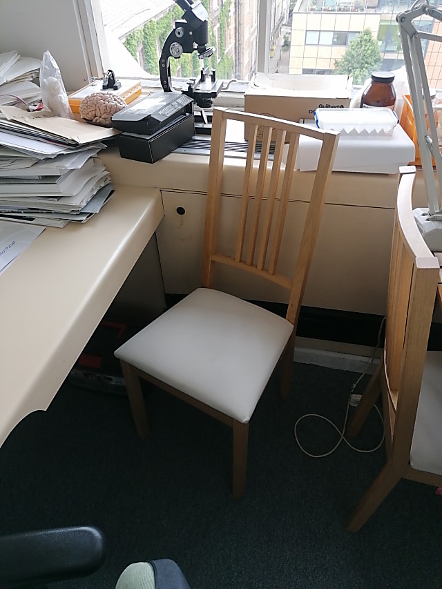 white padded brown wooden chairs