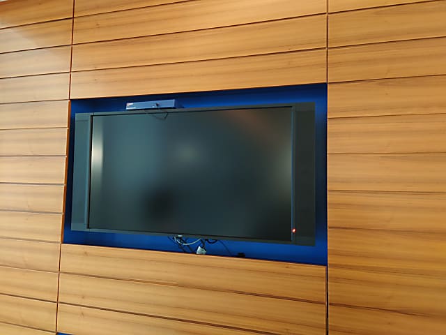 NEC TV (reception)