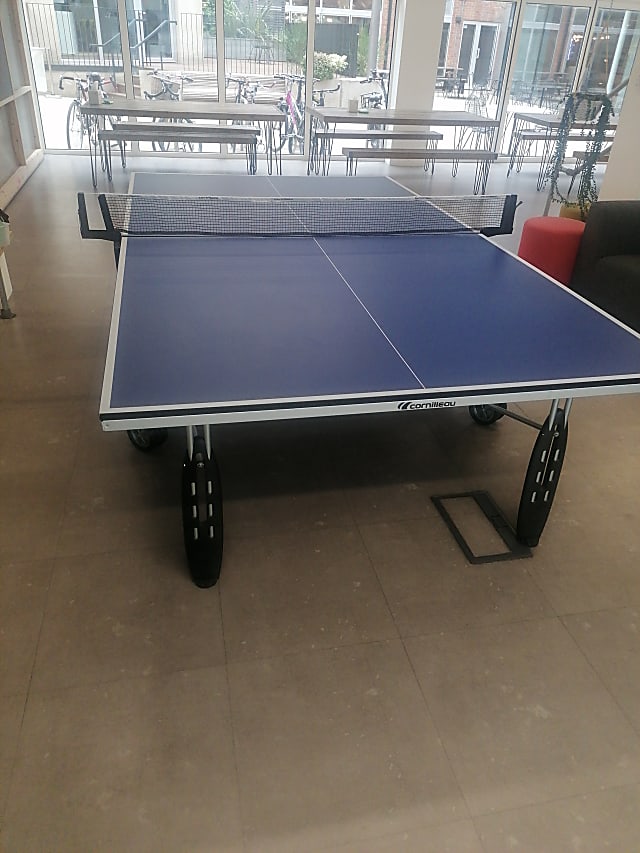 Table tennis table