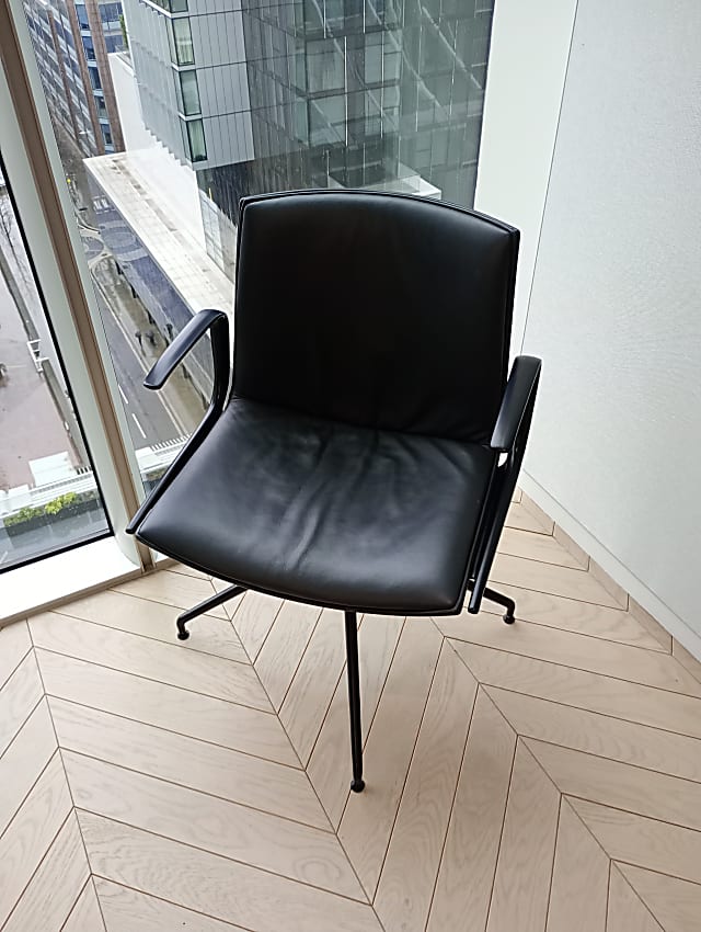 Aeper Catifa chair