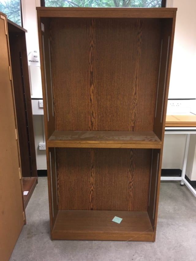 Bookcase with shelves