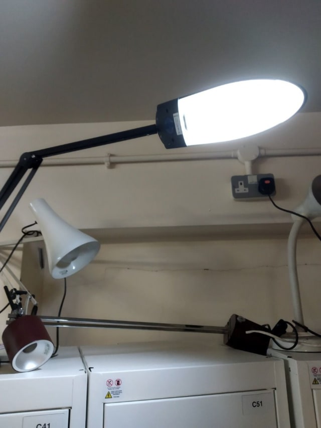 black and white foldable desk lamp