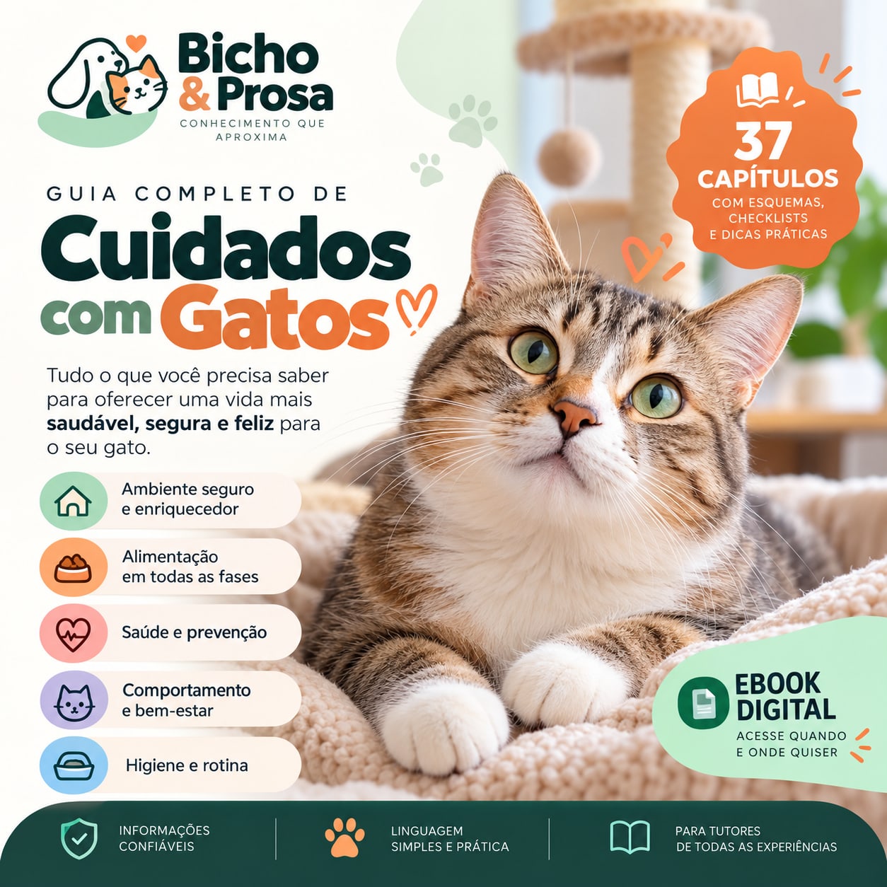 Capa do ebook Cuidados com Gatos — Guia Completo da Bicho & Prosa