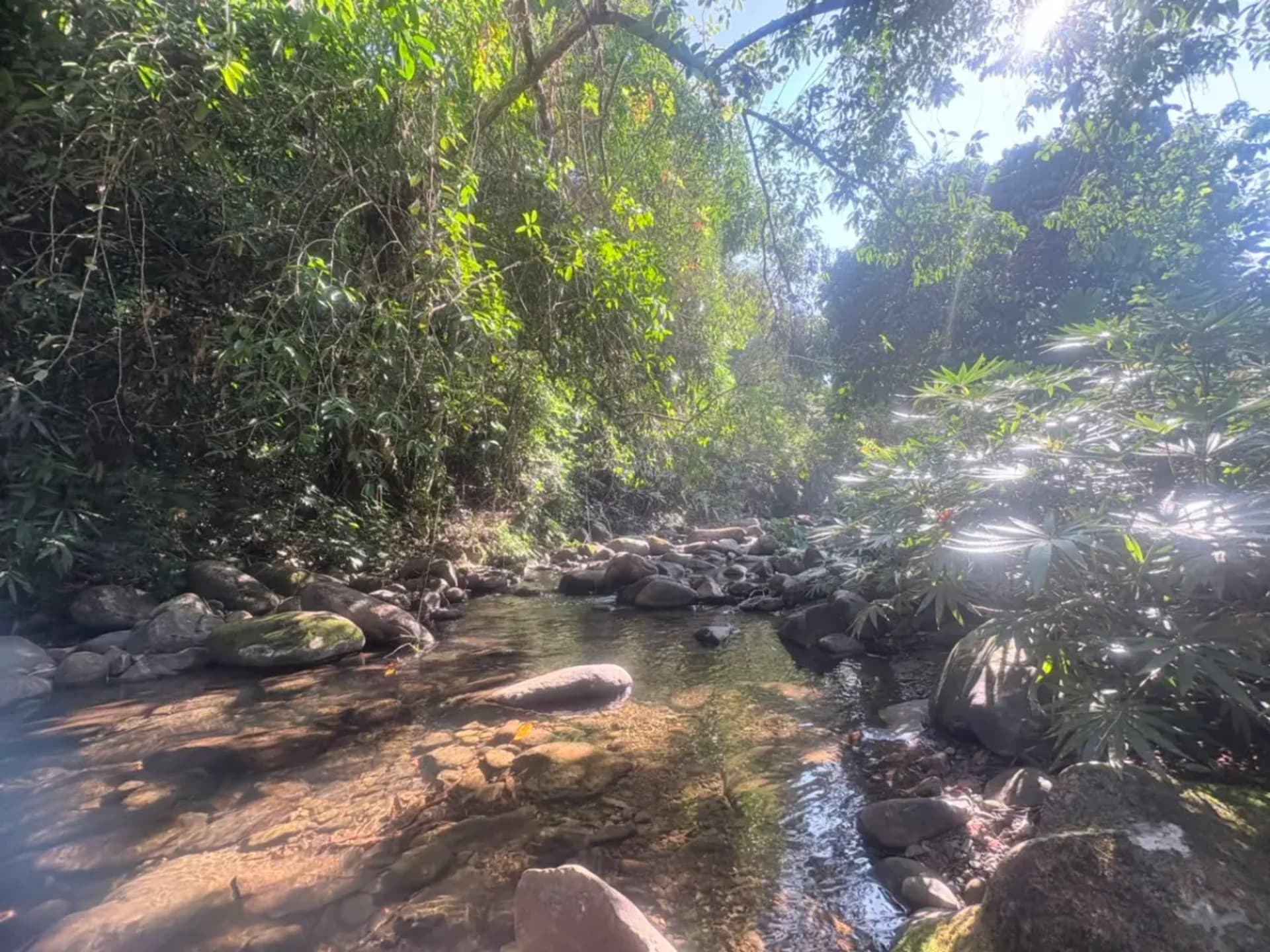 Scenic Photos & Short Videos Kota Kinabalu, Sabah — RM 5–15 Digital Files — gallery 4