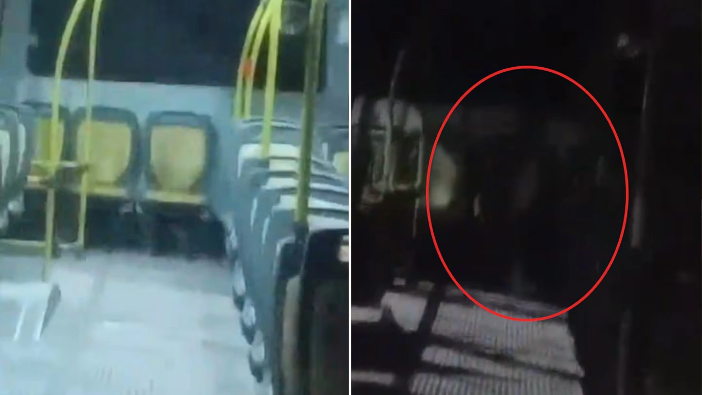 Interior de un colectivo de la línea 581 donde se observa una sombra sobre los asientos traseros