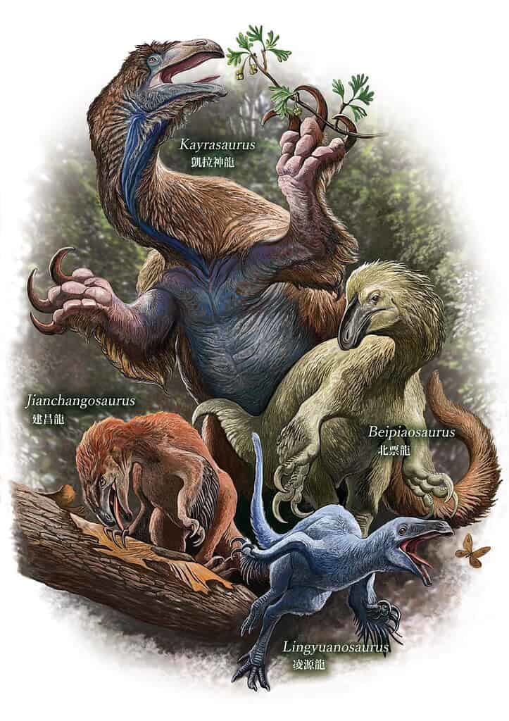 Artistic rendering of Jehol therizinosaurians, illustrating variation in body size. Credit: Kōhei Futaka