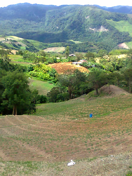 Agua Negra - Cultivos y montañas