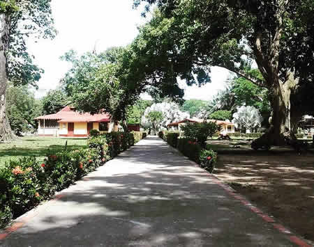 Alimentando cocodrilos - Hato El cedral