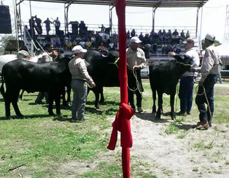 Feria agroindustrial en Elorza
