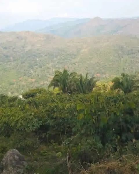 Las Damas, estado Lara - Montañas