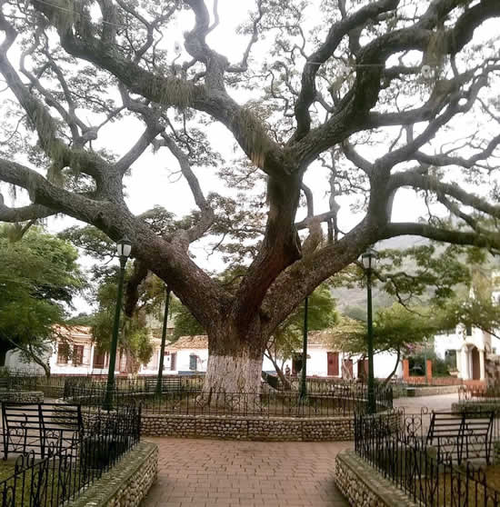 Plaza Bolivar de San Pedro del Río