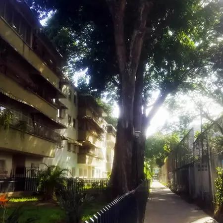 Camineria  - Urbanización Delgado Chalbaud