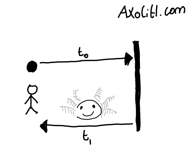 sequence diagram. from person to axolitl.com. from axolitl.com to person.