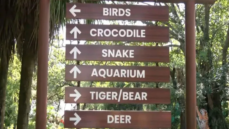 Why Do Zoo Animals Need Warm Food This Winter? 🐾