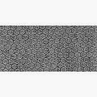 Centurion 3749H Crystal Pearl Image Film