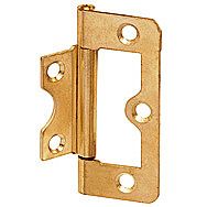 Flush Hinges