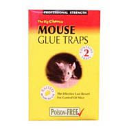 Glues