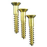 Brass Slotted Screws