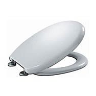 Plastic Toilet Seats