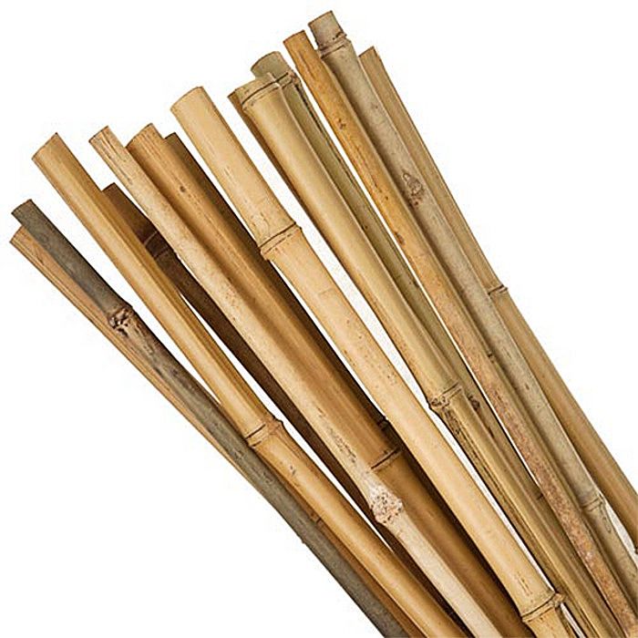 6 Foot Bamboo Canes Pack of 6 Ray Grahams DIY Store