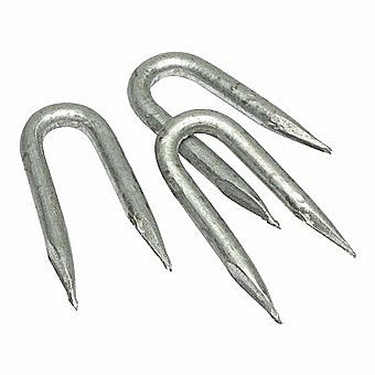 Galvanised Fencing Hammer Staples 25mm 20 Kilo Box